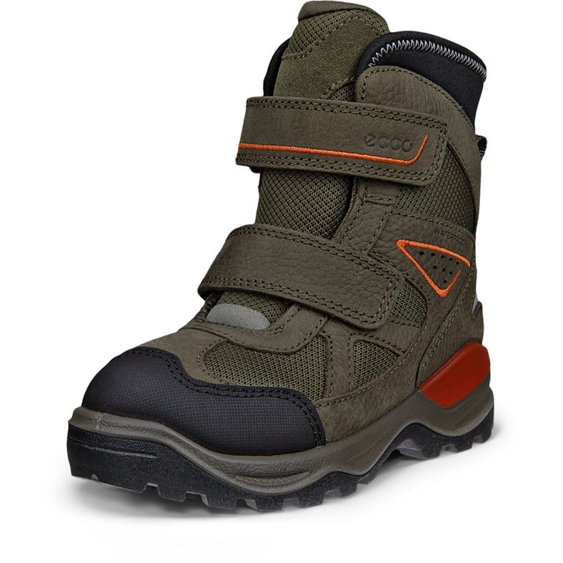 ecco snow mountain
