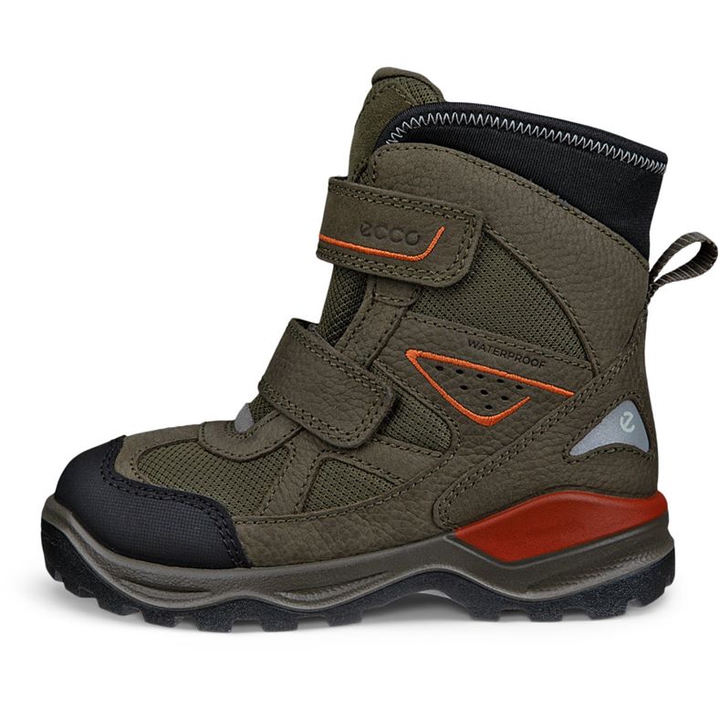 ecco snow mountain