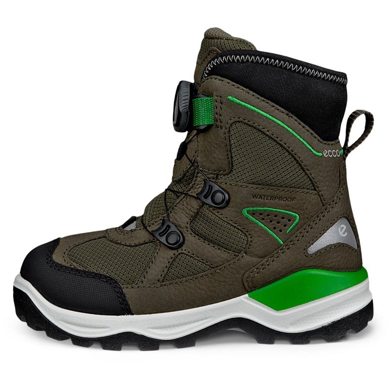 ecco snow mountain