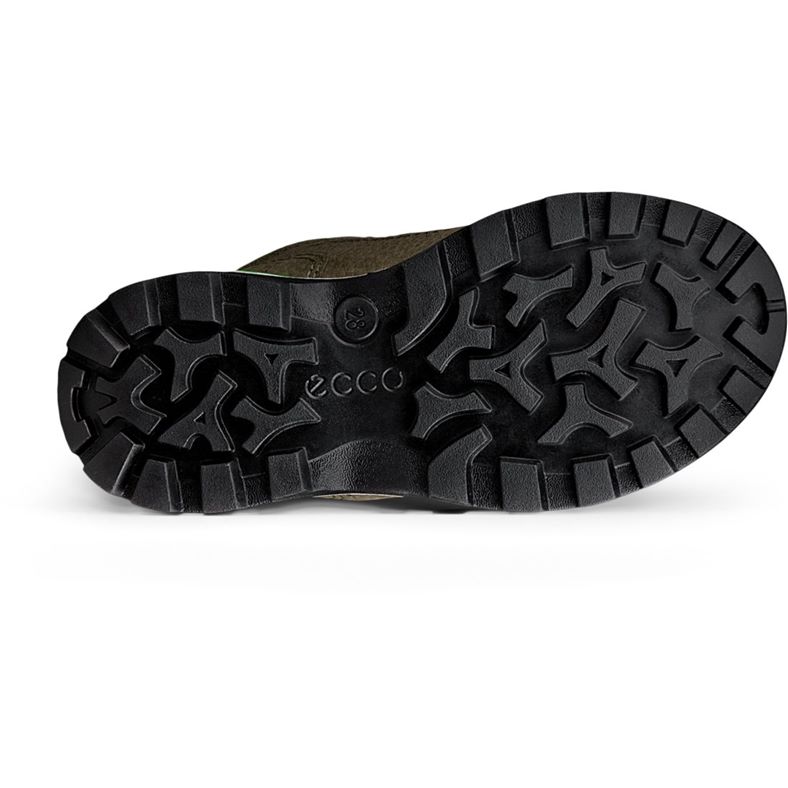 ecco snow mountain