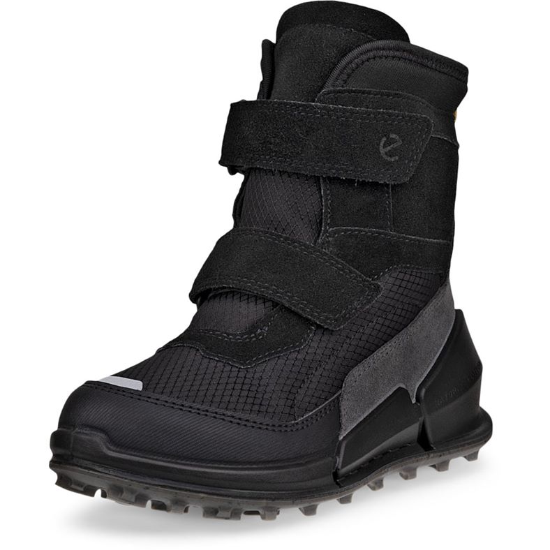 ecco biom k2