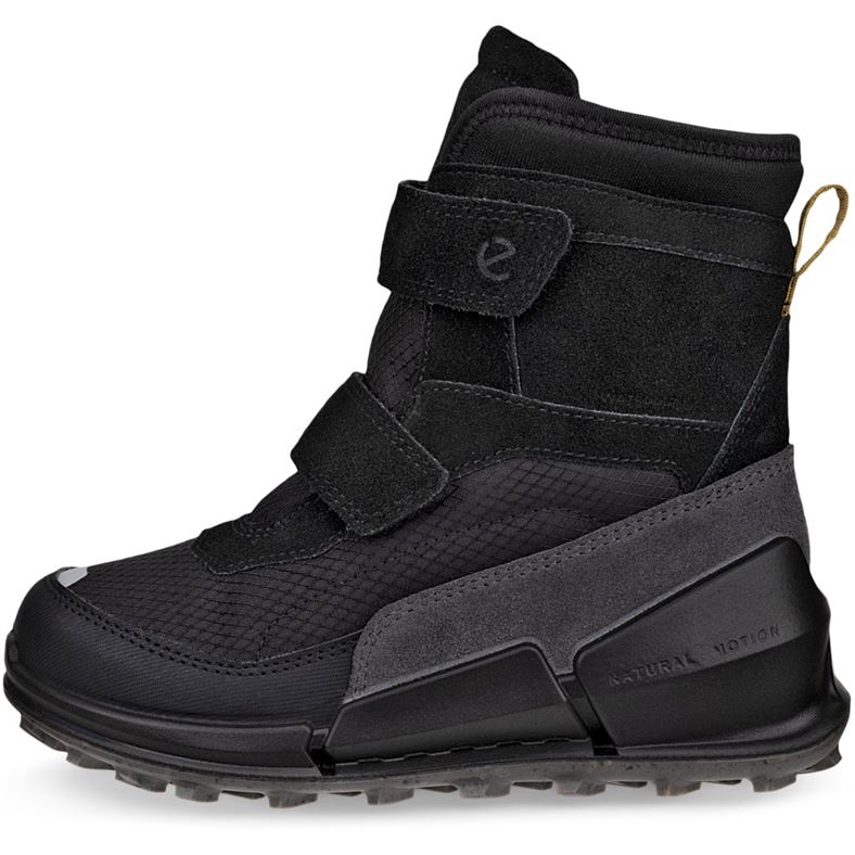 ecco biom k2