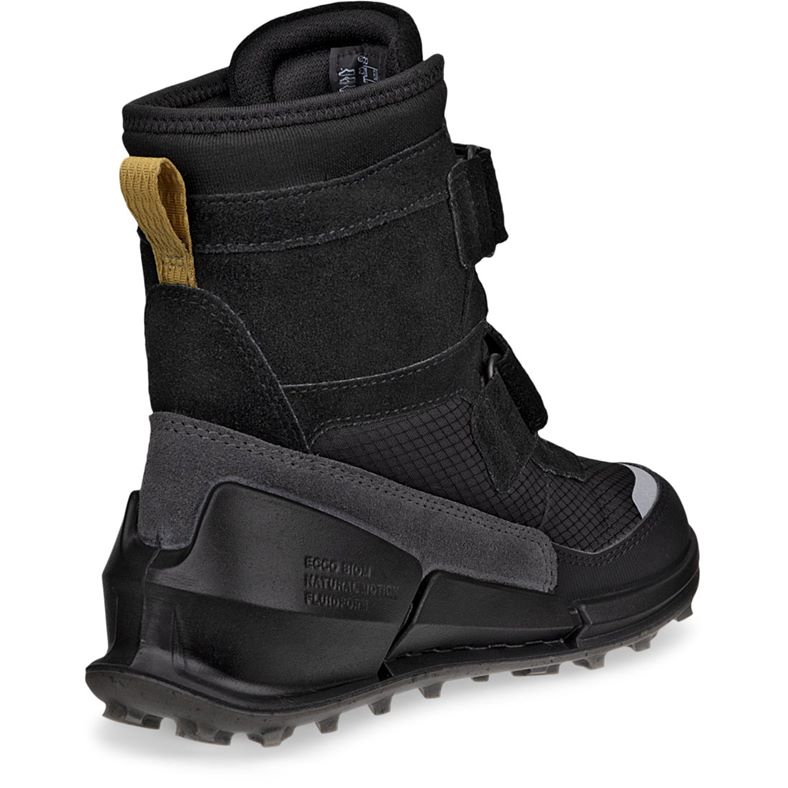 ecco biom k2