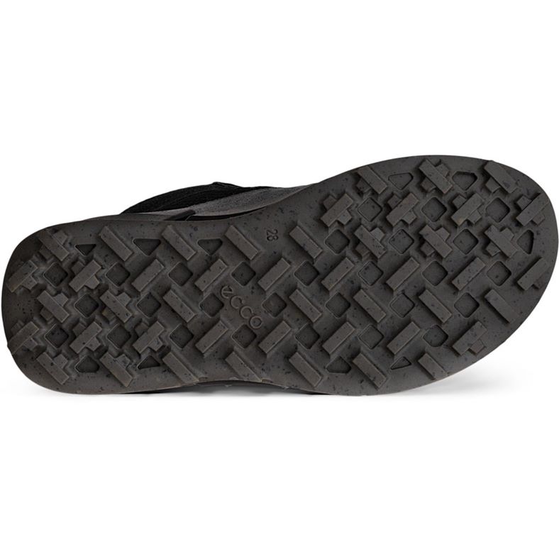 ecco biom k2