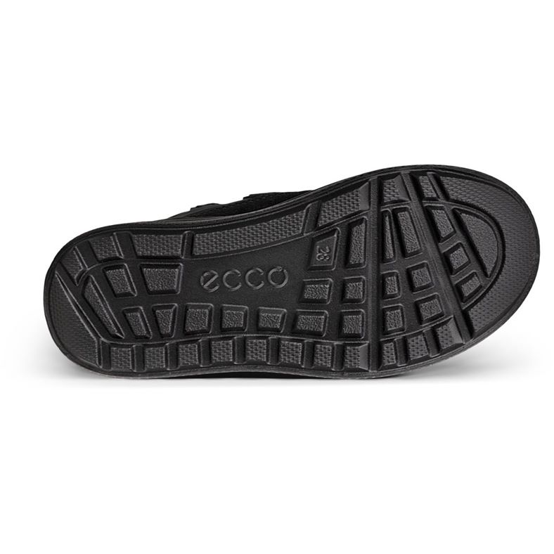 ecco urban snowboarder
