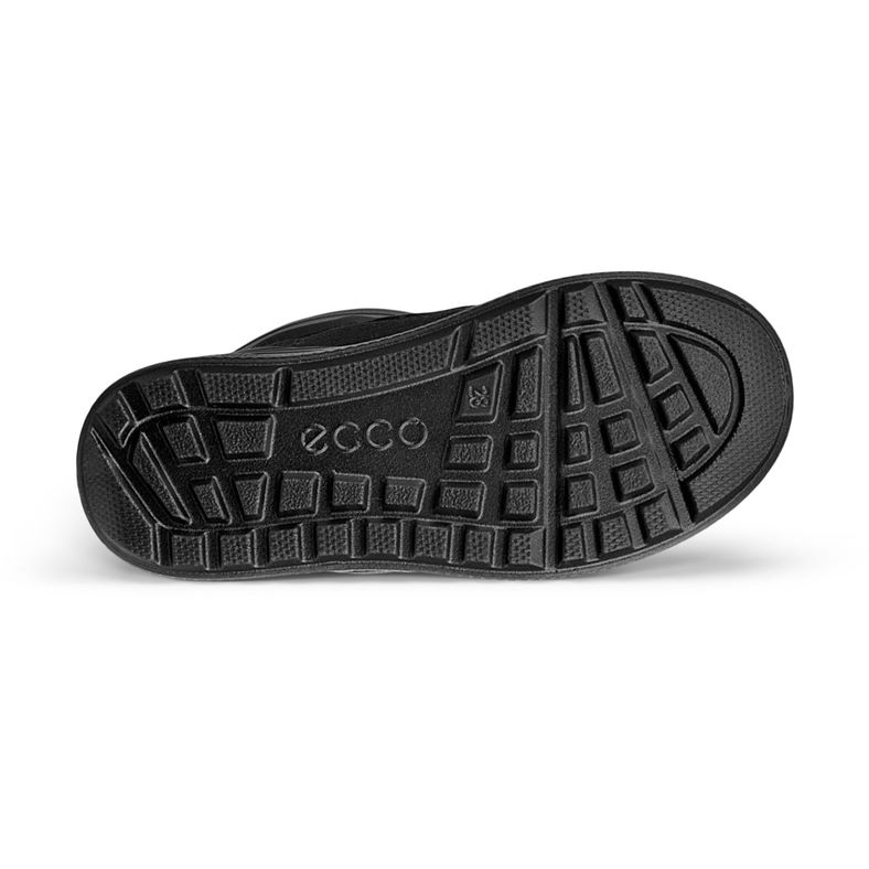 ecco urban snowboarder