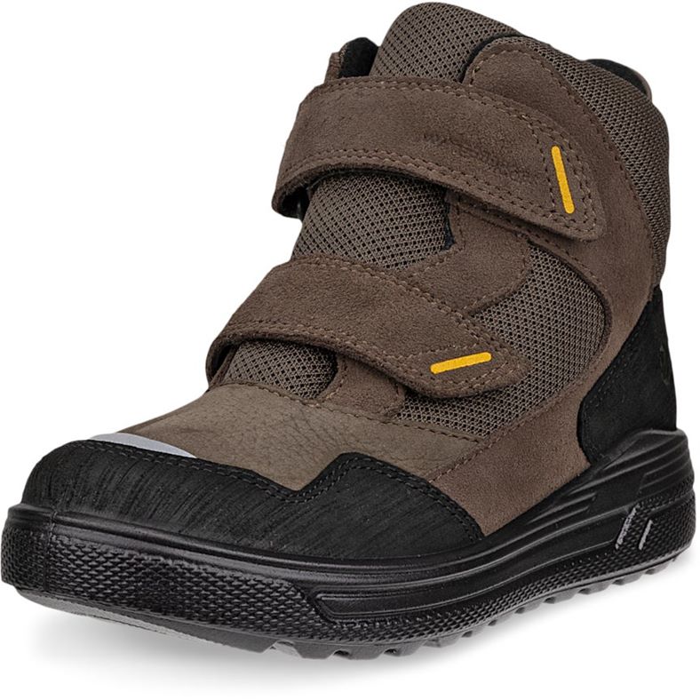 ecco urban snowboarder