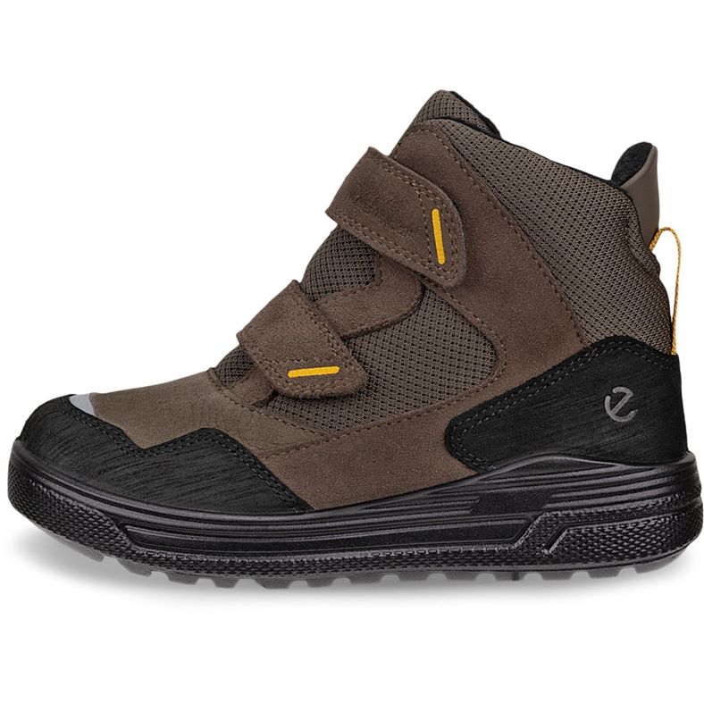 ecco urban snowboarder