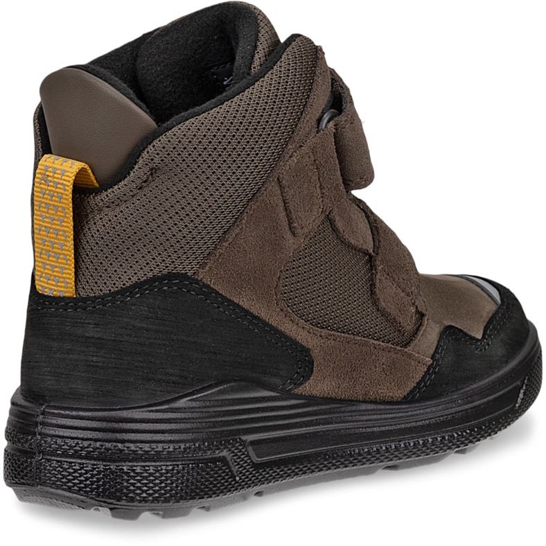 ecco urban snowboarder