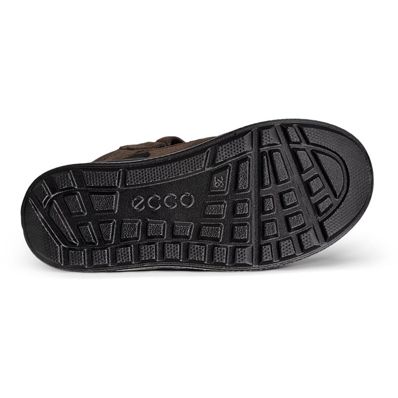 ecco urban snowboarder