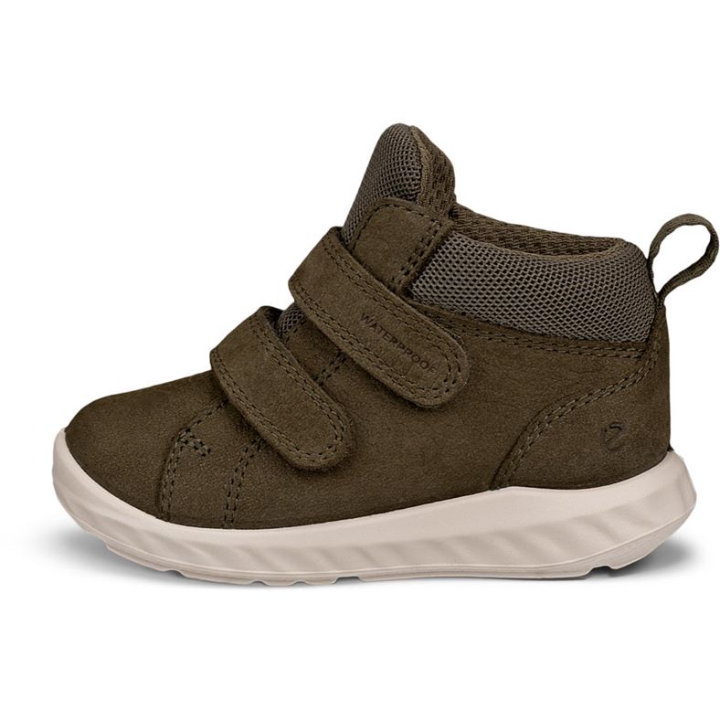 ecco sp.1 lite infant