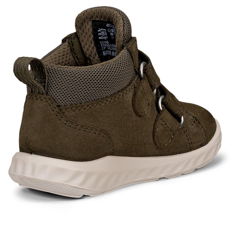 ecco sp.1 lite infant