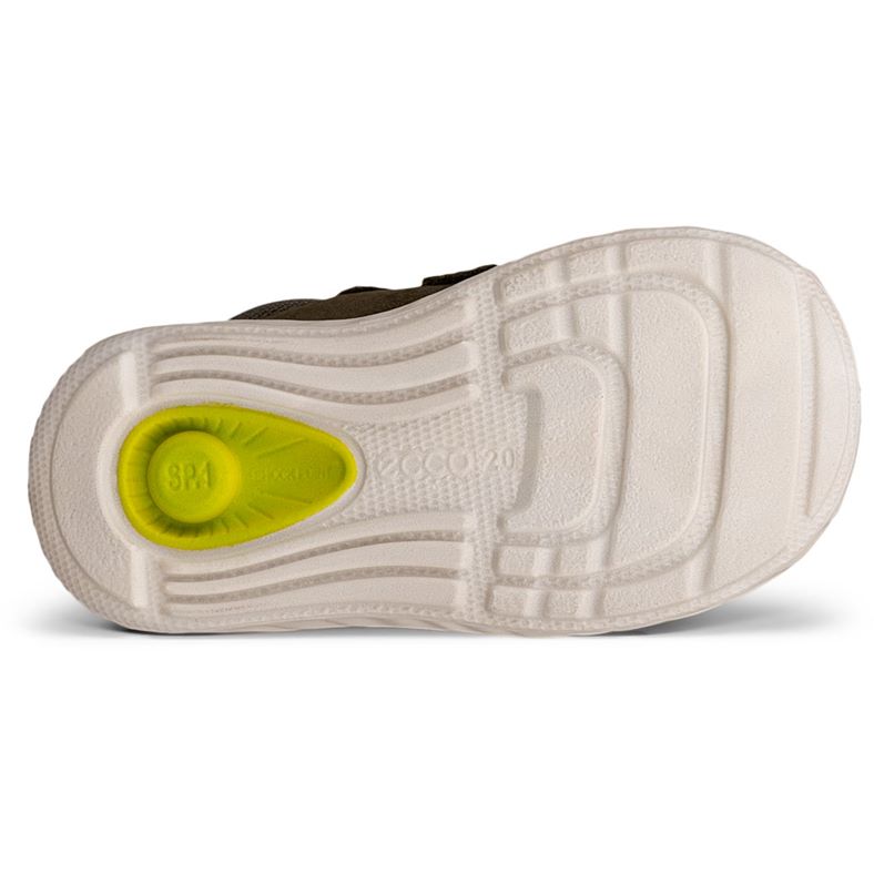 ecco sp.1 lite infant