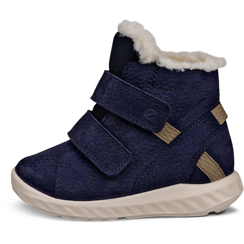 ecco sp.1 lite infant