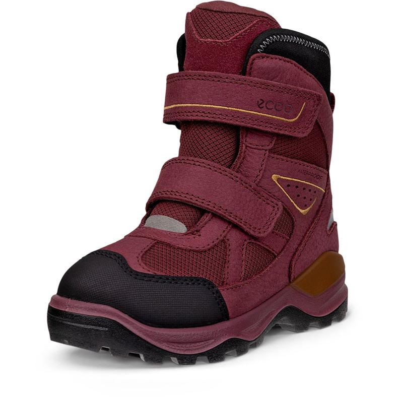 ecco snow mountain