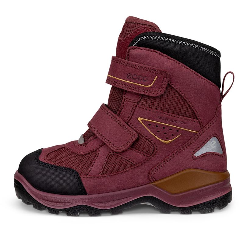 ecco snow mountain