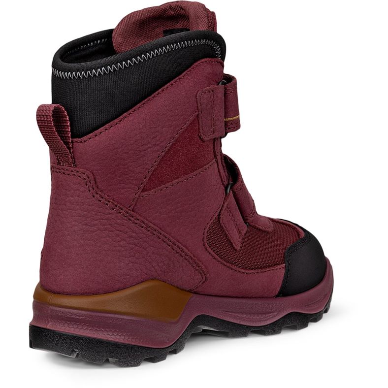 ecco snow mountain