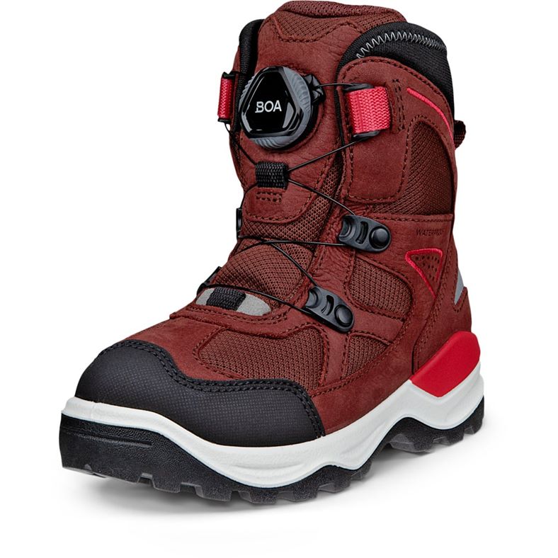 ecco snow mountain