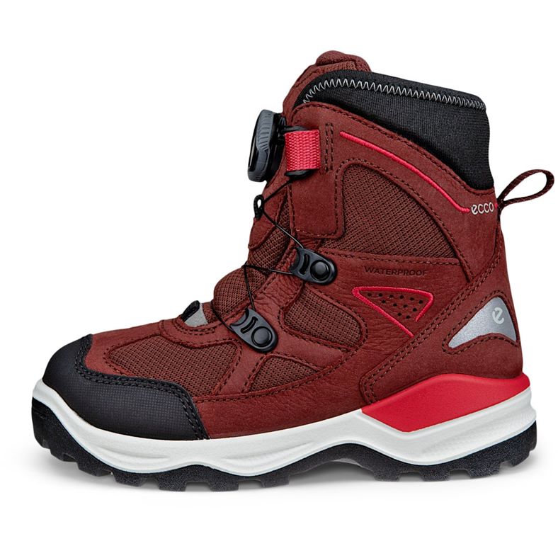 ecco snow mountain