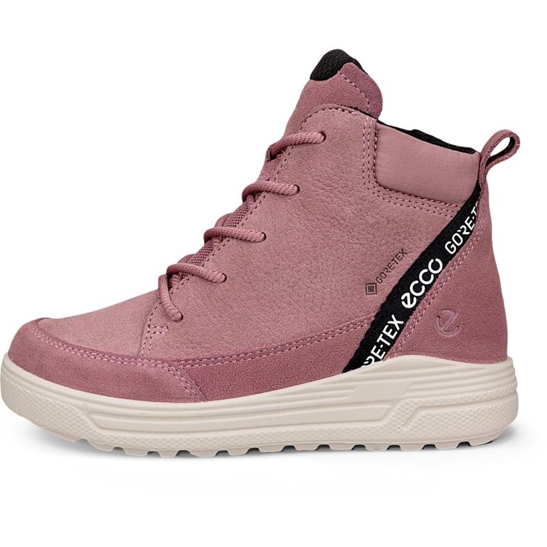 ecco urban snowboarder