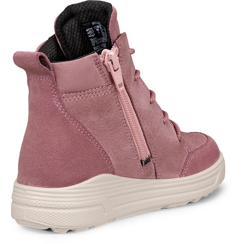 ecco urban snowboarder