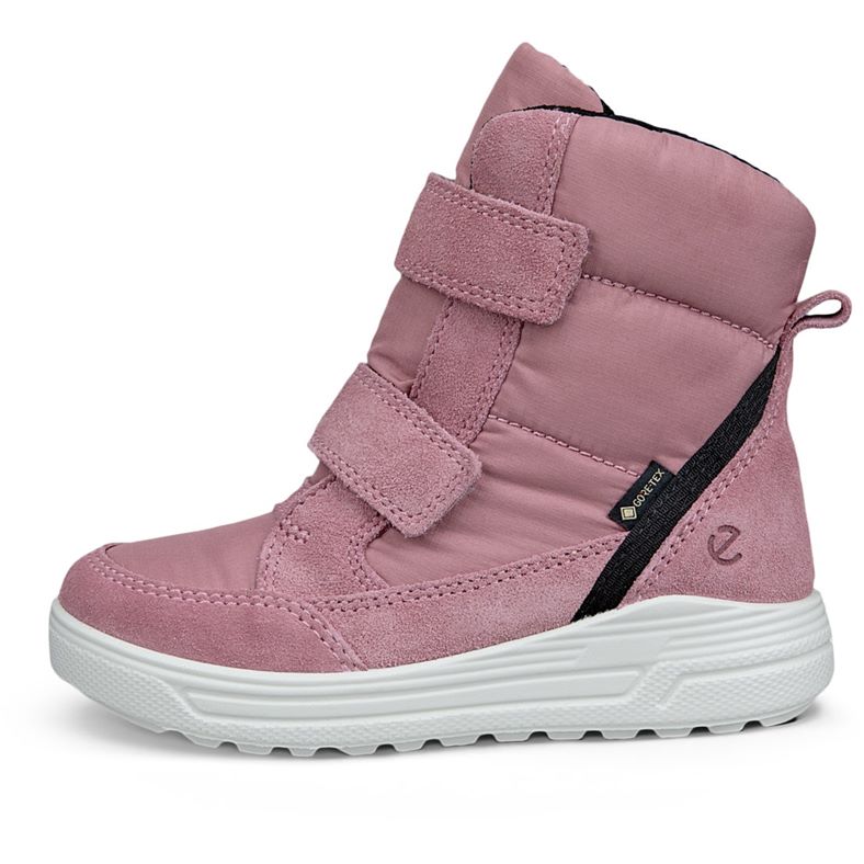 ecco urban snowboarder