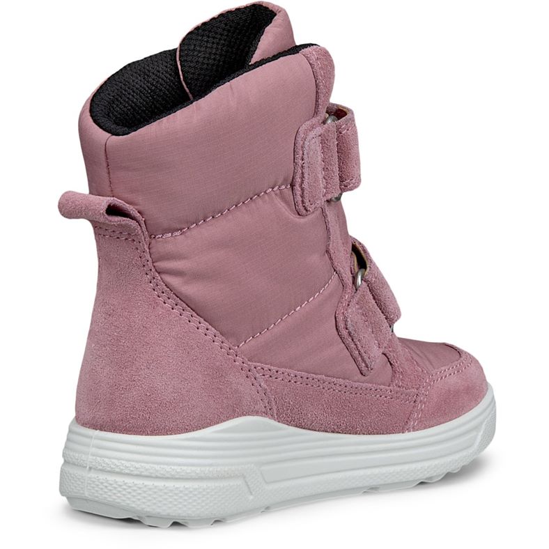 ecco urban snowboarder
