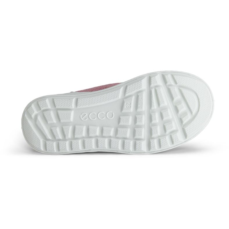 ecco urban snowboarder