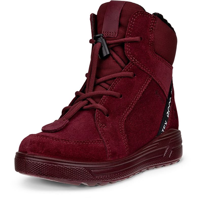 ecco urban snowboarder