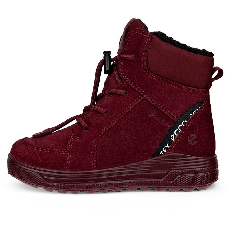 ecco urban snowboarder