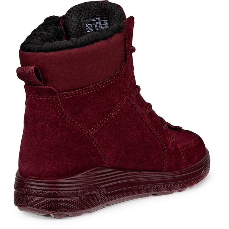ecco urban snowboarder
