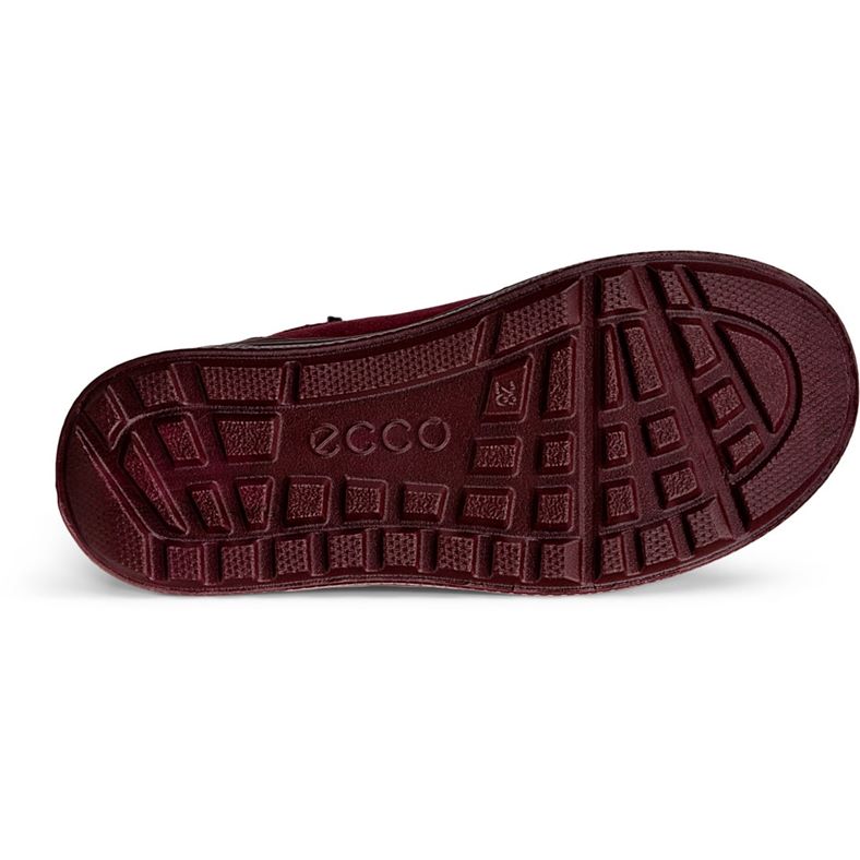 ecco urban snowboarder