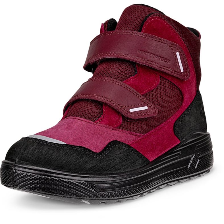 ecco urban snowboarder