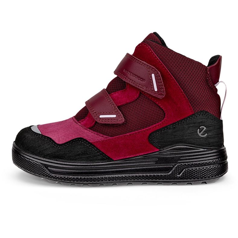 ecco urban snowboarder