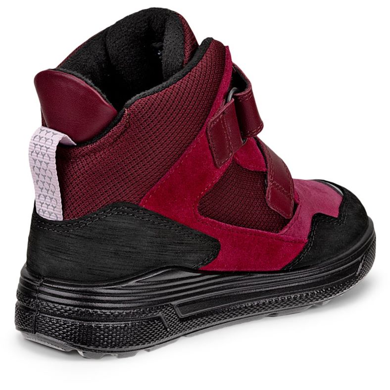 ecco urban snowboarder