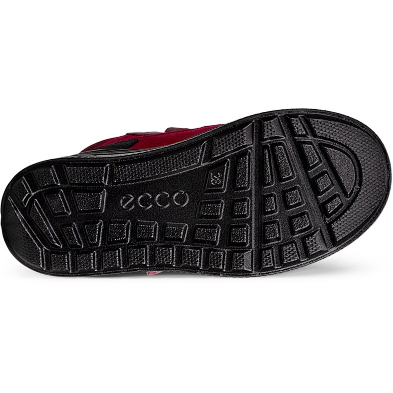 ecco urban snowboarder