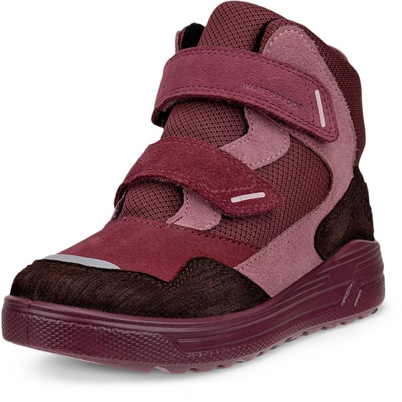 ecco urban snowboarder
