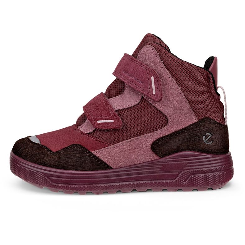 ecco urban snowboarder
