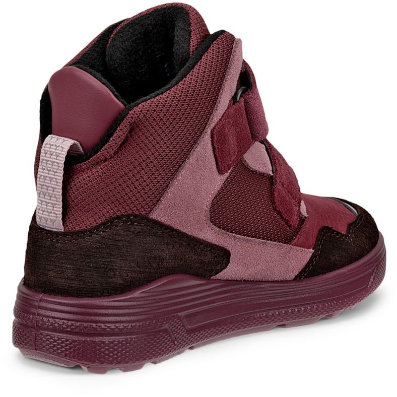 ecco urban snowboarder