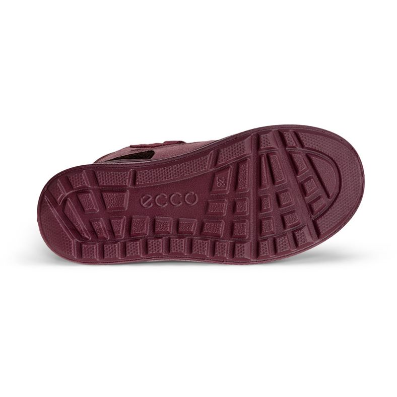 ecco urban snowboarder