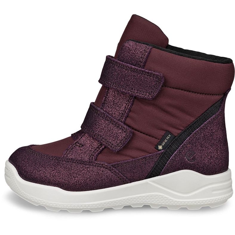 ecco urban mini