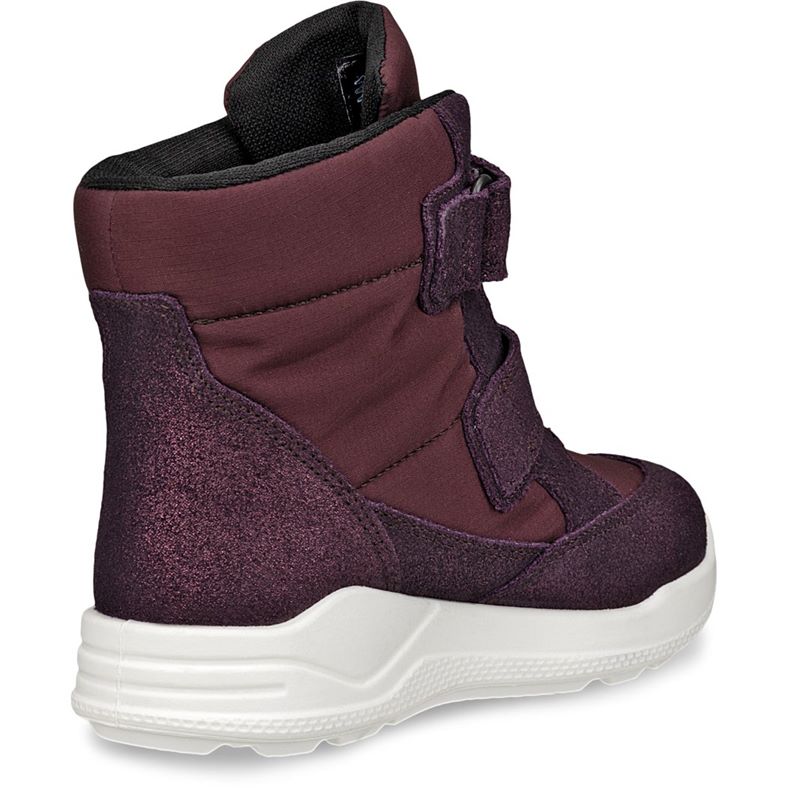 ecco urban mini