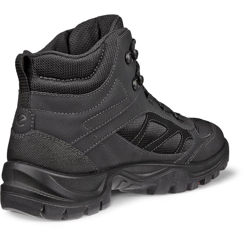 ecco xpedition iii m
