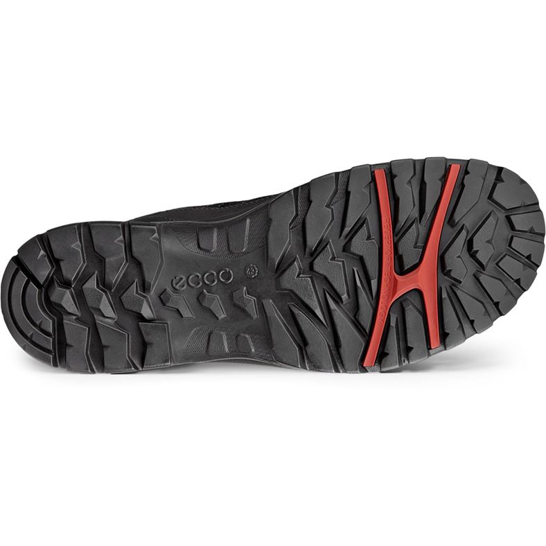 ecco xpedition iii m