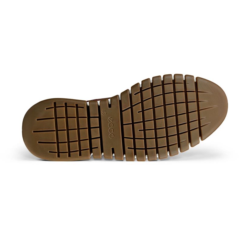 ecco gruuv studio m