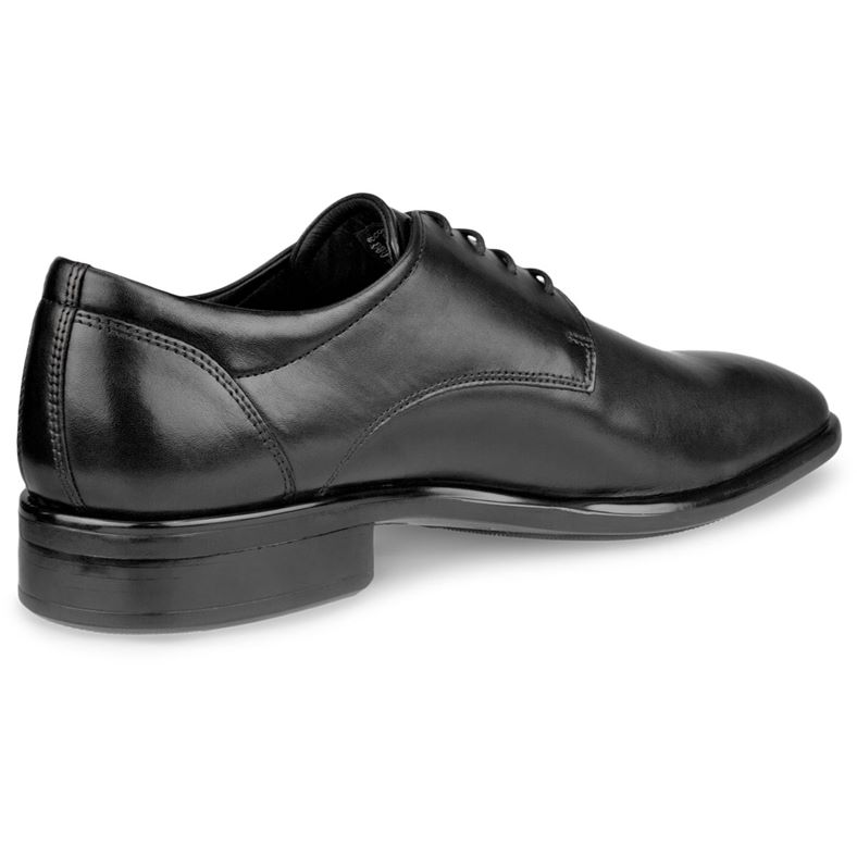 ecco citytray