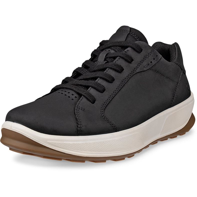 ecco byway 2.0