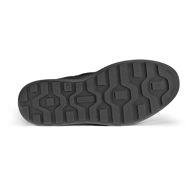 ecco byway 2.0