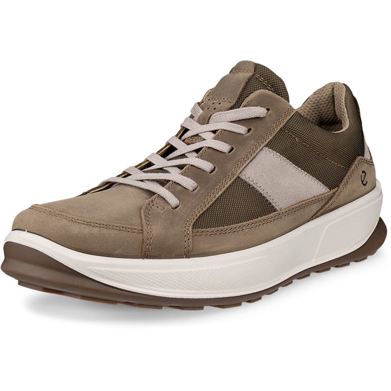 ecco byway 2.0
