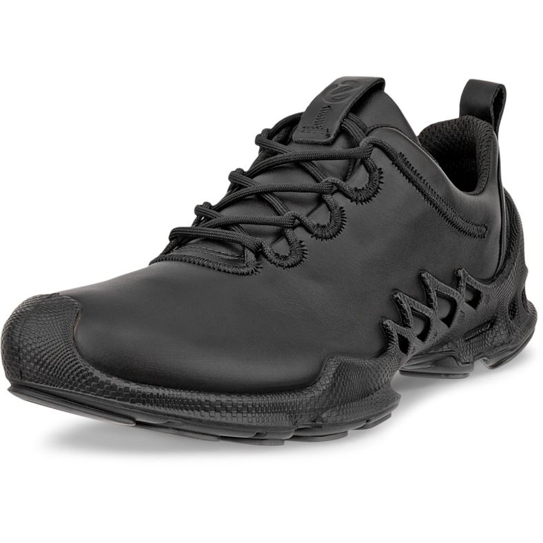 ecco biom aex m